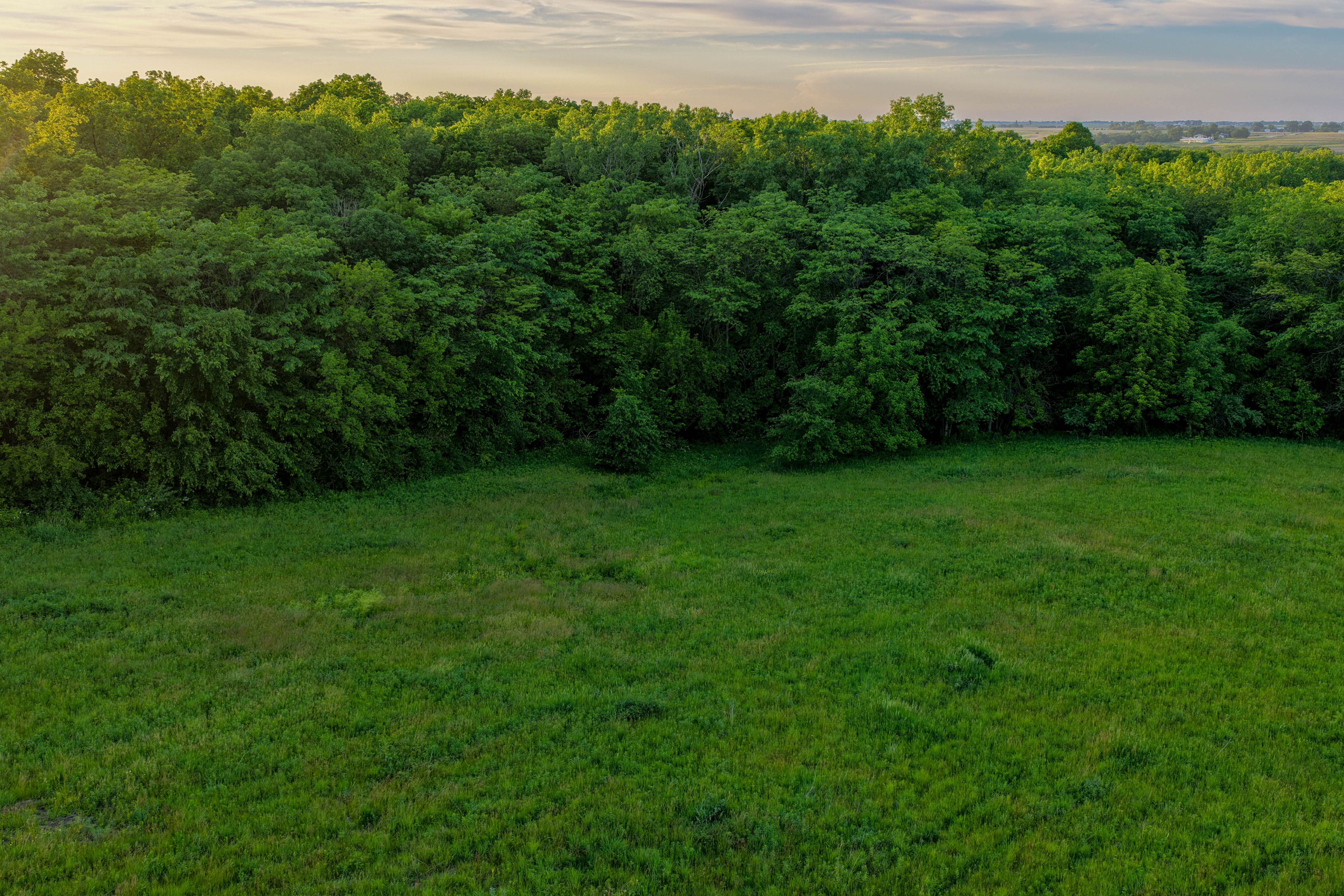 Listing Photo: Washington County Iowa Recreational Land For Sale-29